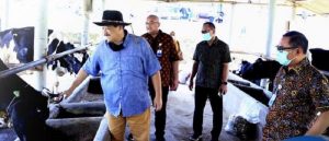 Koperasi Susu di Kuningan Menuju “Integrated Farming”