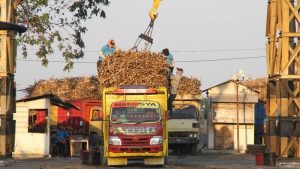 RNI Tingkatkan Target Produksi Gula 2021 Jadi 282 Ribu Ton