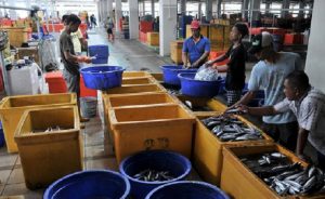 BUMN Klaster Pangan Janji Penuhi Kebutuhan Masyarakat Selama PPKM Darurat