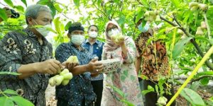 Lebih dari Seribu Milenial Banyuwangi Ingin Jadi “Jagoan Petani”