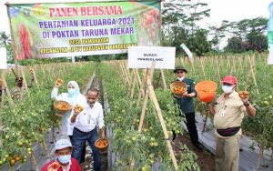 Pertanian Keluarga di Pandeglang Tingkatkan Produktivitas Kawasan Rawan Pangan