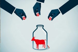 KURBAN DAN KOPERASI SYARIAH
