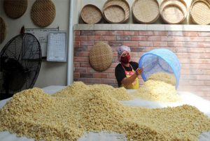 Tempe UKM Makin Diterima Pasar Negeri Sakura