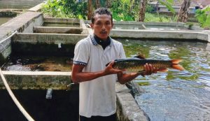 Cimalaka, Sumedang Disiapkan Jadi Kampung Ikan Dewa