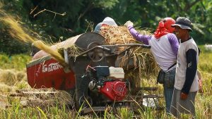 BRI Gulirkan Kredit Rp117,54 Triliun untuk Sektor Pertanian