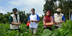 Menkop UKM Apresiasi Petani Purbalingga Ekspor Buncis Kenya ke Singapura