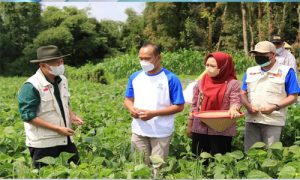 Benahi Mindset Entrepreneur Petani Sayur Mayur