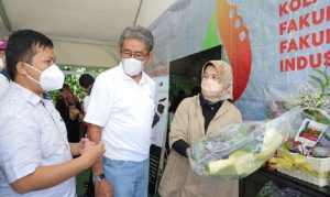 Unpad Kembangkan Kawasan Agroeduwisata Hidroponik Bale Tatanen Padjadjaran