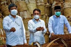 Kemenperin Dorong Industri Serap Tembakau Lokal