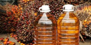 Pemerintah Dorong Industri Minyak Sawit Dengan Program B35