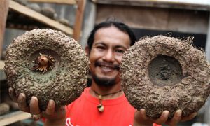 Dua Instansi Pusat Revitalisasi Sentra IKM Olahan Porang