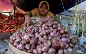 CIPS Ungkap Harga Bawang Merah Indonesia Termasuk Mahal di Asean