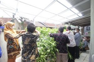 IPB Berhasil Kembangkan Pertanian Hidroponik Sayuran di Desa Benteng