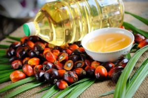 Produksi CPO 2020 Capai 52, 14 Ton, Indonesia Butuh Produk Hilirisasi