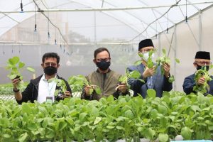 Capai 300 Titik, Booming Urban Farming di Kota Bogor
