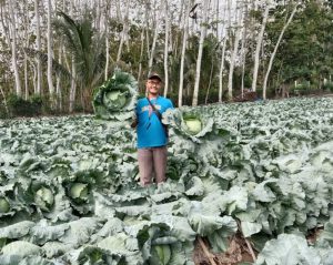 Maulana Elang Putra, Terbang Tinggi dengan Kubis