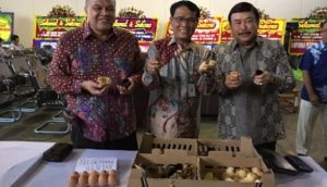 Kementan Lepas Ekspor Telur Tetas Senilai Rp3 Miliar ke Mynmar