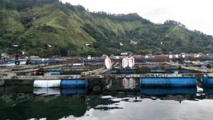 Peneliti IPB University Riset Konflik Pariwisata dan Perikanan di Danau Toba