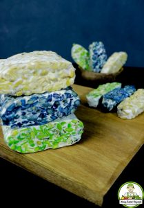 Diyah Rahmawati, Inovasi Tempe Organik Bernuansa Warna Bahan Alami