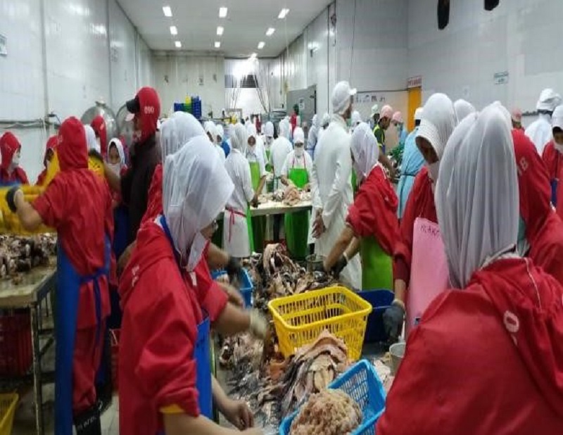 KKP Fasilitasi UMKM Olahan Ikan Dapatkan Sertifikasi HACCP untuk Perluas Akses Ekspor