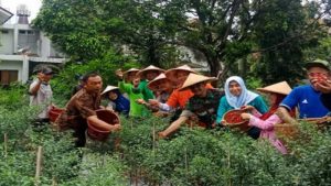 Warga Bintaro Sulap Lahan Terbengkalai untuk Budi Daya Pertanian