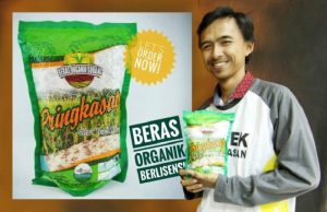 Aroma Beras Organik  Pringkasap Tercium hingga Jepang