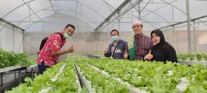 Produk Hortikultura Pesantren Ulul Ilmi Hidrofarm Siap Masuk Ritel Modern