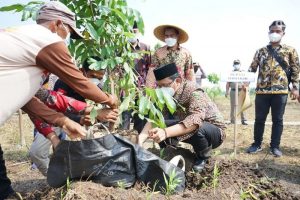 Desa Simoketawang Inovasi Kampung Wisata Kelengkeng