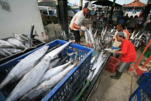 KKP: Produksi Ikan untuk Januari Hingga Maret 2025 Capai 3,06 Juta Ton