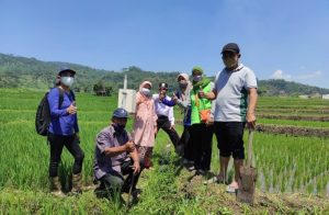 Poktan Sumber Makmur II, Berkilau dengan Beras Lumpang Berlian