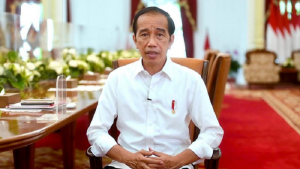 Jokowi Cabut 34.448 Hektare HGU Perkebunan Terbengkalai