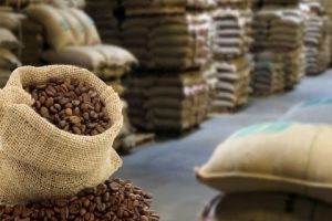 2022, PPI Raih Kontrak Tiga Ribu Ton Kopi ke Mesir