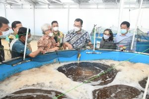 IPB University Inovasi Teknologi Budi Daya Udang Hasilkan Produksi 130 Ton Udang per Hektar