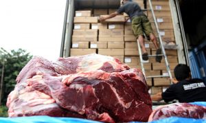 Kementan Sidak 13 Gudang Importir Daging Domba dan Kambing di Depok