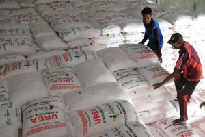 Kenaikan Harga Internasional Buat Harga Pupuk Nonsubsidi Melonjak
