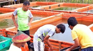 Pemkot Bogor Gunakan Maggot sebagai Solusi Atasi Sampah Organik