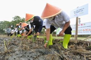 Kota Bandung Targetkan Produksi Beras Dua Kali Lipat Lewat IP 400