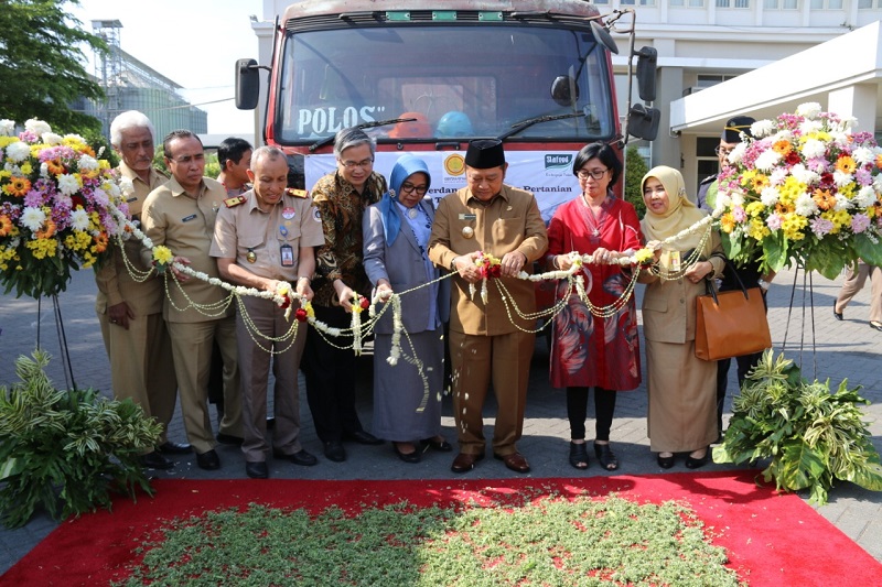 Jawa Timur Ekspor 120 Ton Pakan Ayam ke Timor Leste
