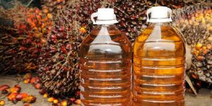 Neraca Perdagangan Januari 2022 Surplus USD930 Juta Didorong Minyak Sawit