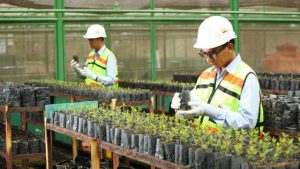 Komitmen Pemerintah Kembangkan Industri Hijau