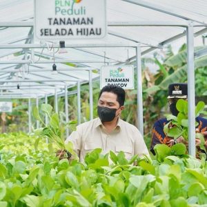 Lampung Berpotensi Besar Jadi Sentra Produksi Pangan