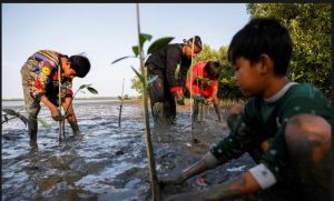 Mencegah Intrusi Air Laut PGN Penanaman 1.103 di Pesisir Tambakrejo