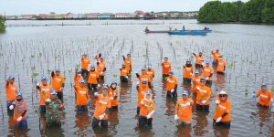PKT Tanam 1.500 Bibit Mangrove Memperingati Hari Keanekaragaman Hayati Sedunia