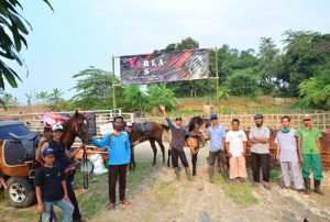 Belajar Berkuda Murah di Yarla Stable, Ciampea