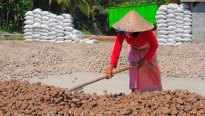 Indonesia Menyusun  Transformasi Ekonomi Ekstraktif ke Inklusif