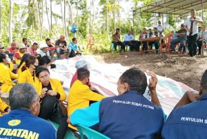 Kelompok Tani Binaan Pintu Air Panen Perdana Jagung