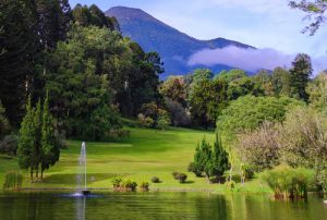 Puluhan Opsi Wisata Ciamik di Sekitaran Bogor