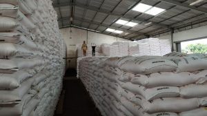 3,4 Juta Ton Pupuk Bersubsidi Telah Tersalurkan