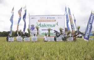 Pupuk Indonesia Indonesia Capai Lahan Seluas 140.108 Hektar Atas Realisasi Program Makmur