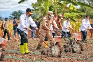 Indonesia Berhasil Meningkatnya Produksi Pangan Nasional